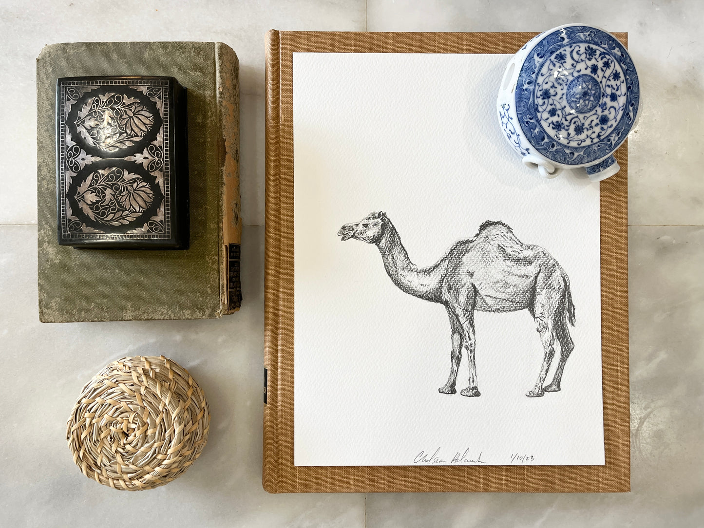 Camel Sketch