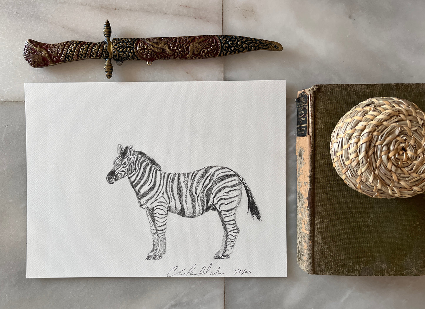 Zebra Sketch